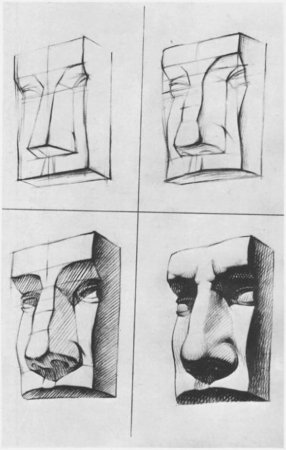 Пропорции головы Давида