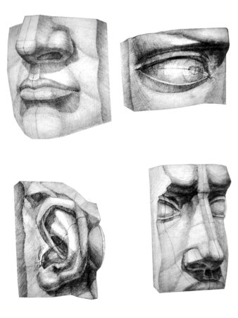 Рисование гипсовой головы Антиноя