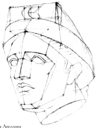 Нос Давида гипс построение