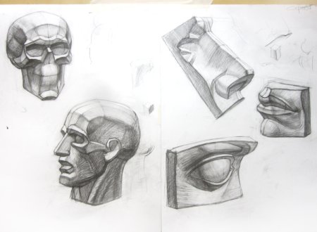 Этапы рисования гипсовой головы