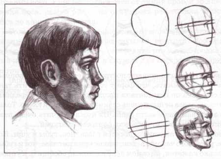 Этапы рисования головы человека
