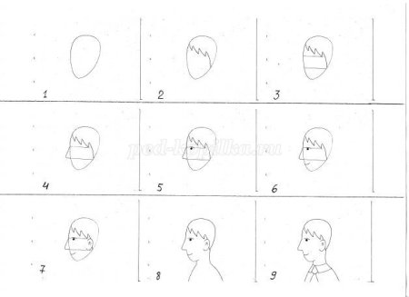 Схема рисования портрета в подготовительной группе