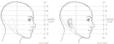 Поэтапное рисование лица в профиль