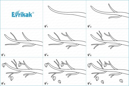Поэтапное рисование ветка