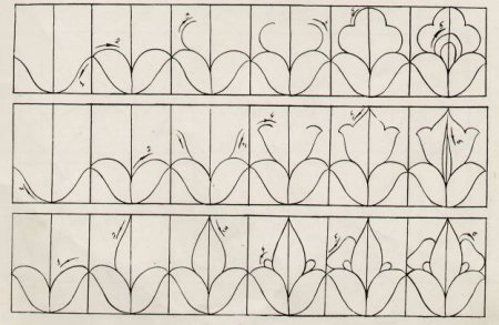 Построение растительного орнамента в полосе