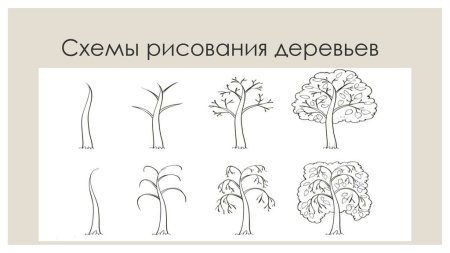 Поэтапное рисование дерева для детей