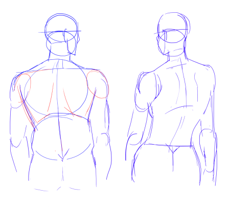 Человек сзади сзади референс