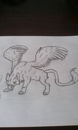 Рисунки для срисовки животные