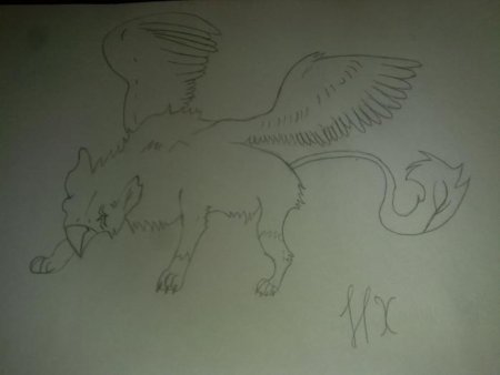 Поэтапное рисование грифона