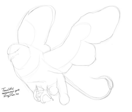 Рисунки карандашом для начинающих Грифон