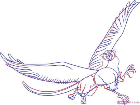 Картинки для перерисовки Грифон
