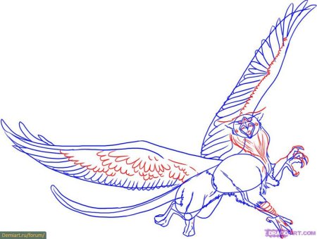 Поэтапное рисование грифона