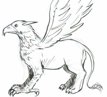 Грифон рисовка