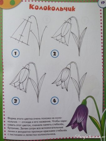 Поэтапное рисование - колокольчик цветок