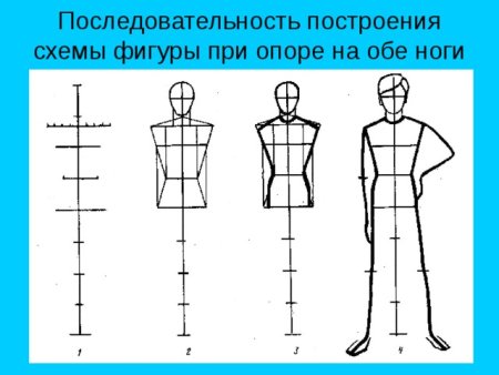 Схема изображения человека