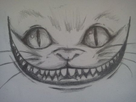 Чеширский кот рисунок для срисовки