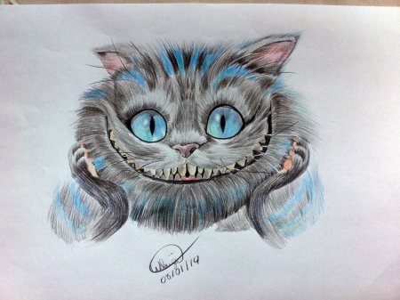 Чеширский кот картинки для срисовки