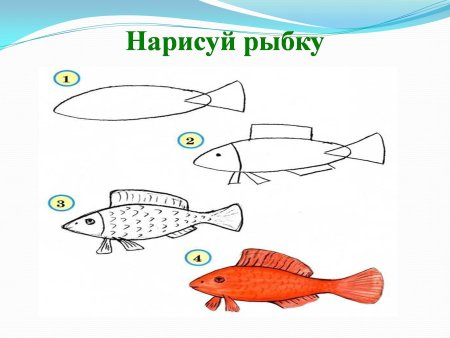 Схема рисования рыбы