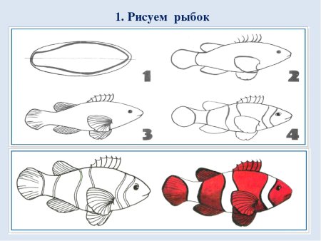 Поэтапное рисование рыбки
