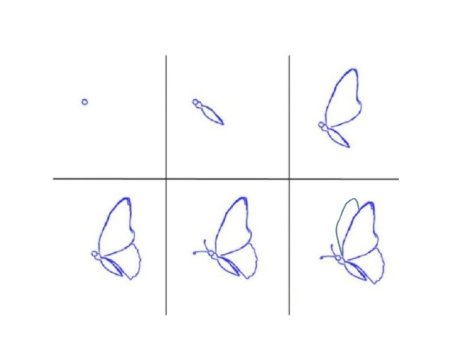 Рисуем бабочку поэтапно