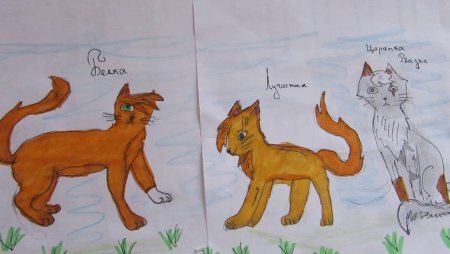 Рисование для всех коты Воители