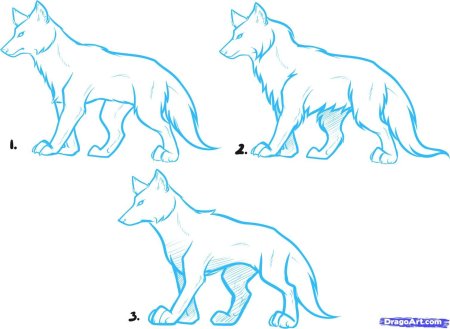 Рисунки котов воителей карандашом