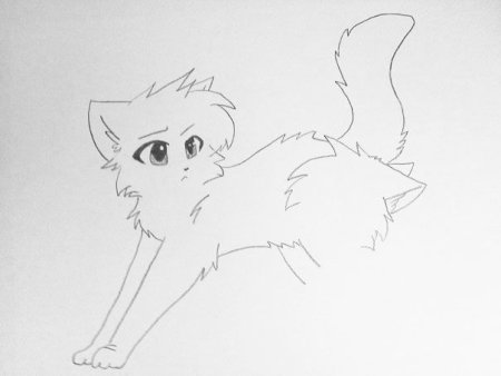 Коты Воители котята не Раскрашенные