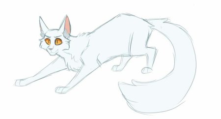 Коты Воители по этапам