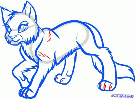 Коты Воители скетчи