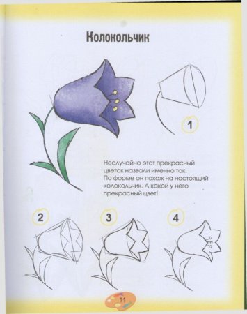 Схема рисования цветов колокольчиков