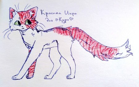 Рисунок кота на бумаге