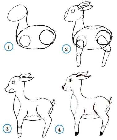 Как нарисовать козу поэтапно