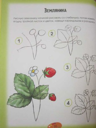 Рисование земляника