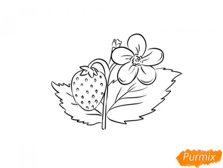 Поэтапное рисование земляники для детей