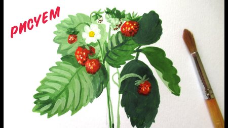 Рисование земляника средняя группа