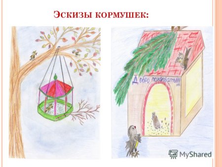 Кормушка для птиц рисунок