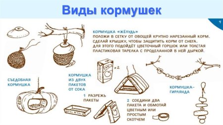 Виды кормушек