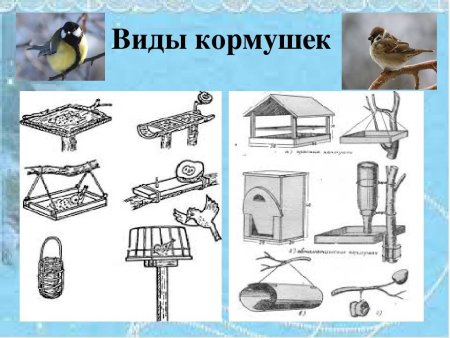 Виды кормушек