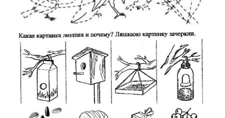 Зимующие птицы задания для дошкольников