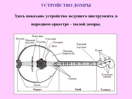 Строение домры малой