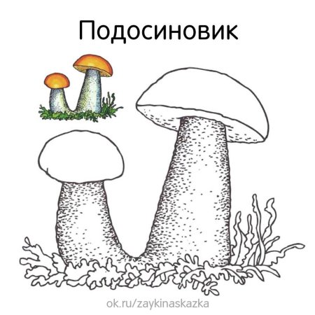 Рисуем грибы поэтапно