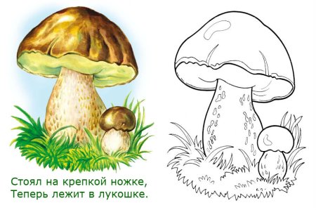 Поэтапное рисование гриба