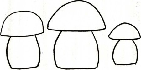 «Грибы для белки» (Комарова, с.36)