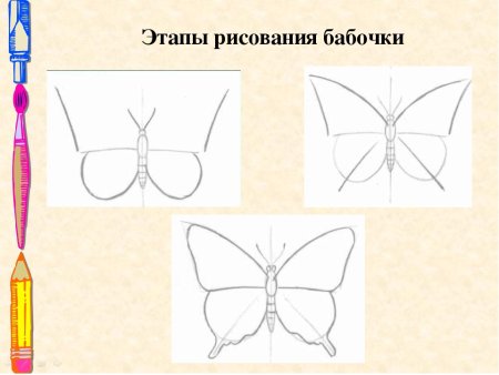 Рисование бабочки