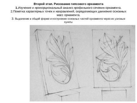 Рисунок гипсовой розетки пятилистник