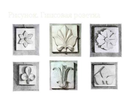 Рисунок гипсовой розетки пятилистник