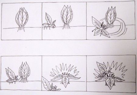 Раскадровка рисунок