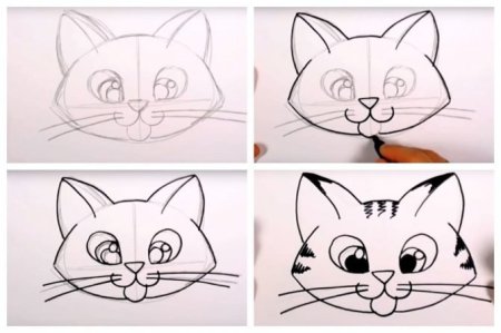 Схема рисования кошки для детей старшей группы