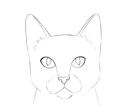 Рисование морды кота