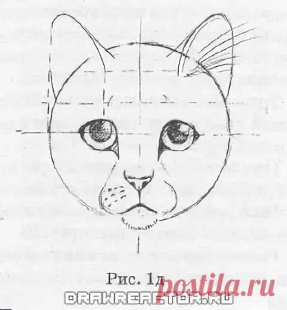 Мордочку кота по этапам